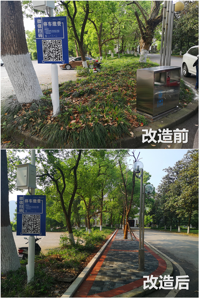 文学院人行道改造对比图.jpg